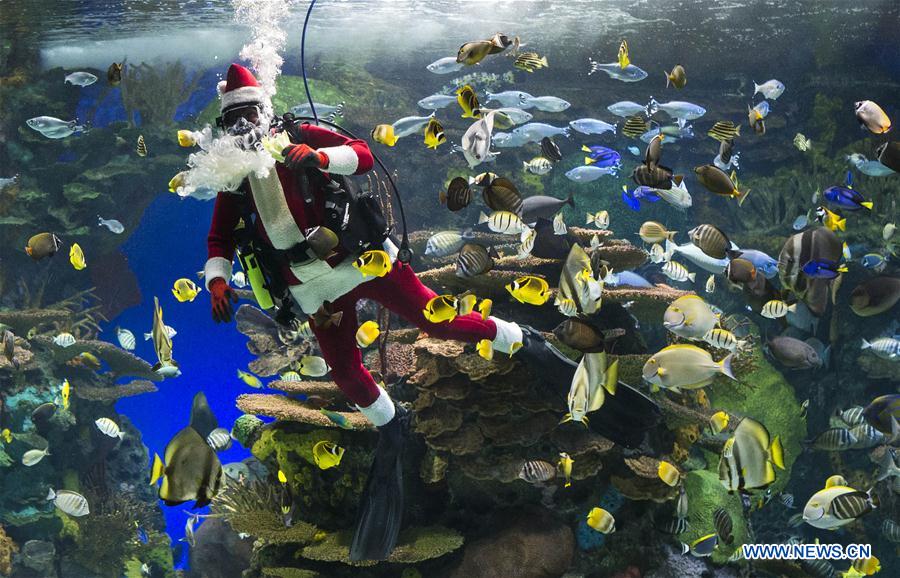 CANADA-TORONTO-AQUARIUM-SANTA CLAUS