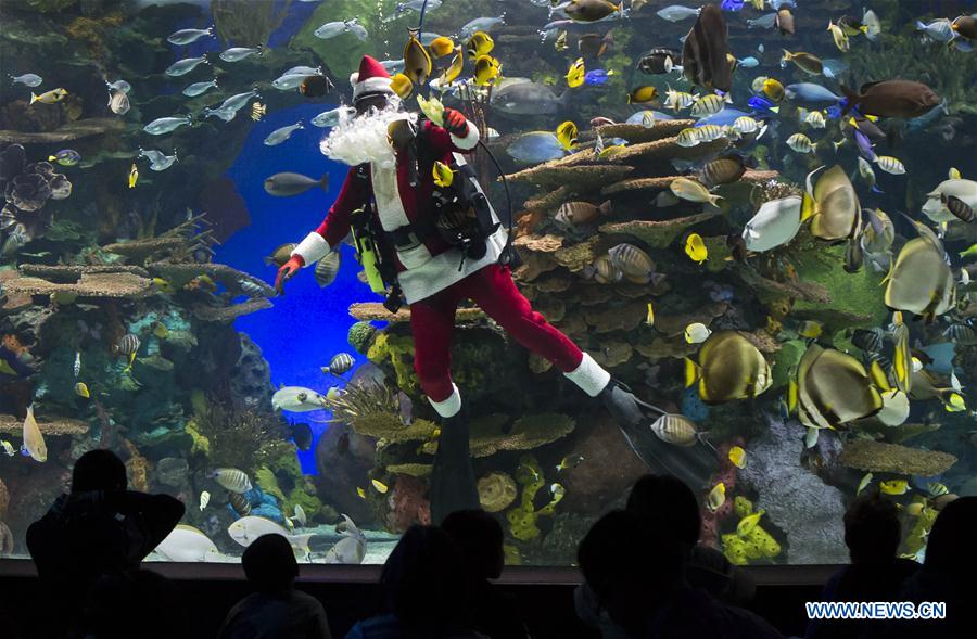 CANADA-TORONTO-AQUARIUM-SANTA CLAUS