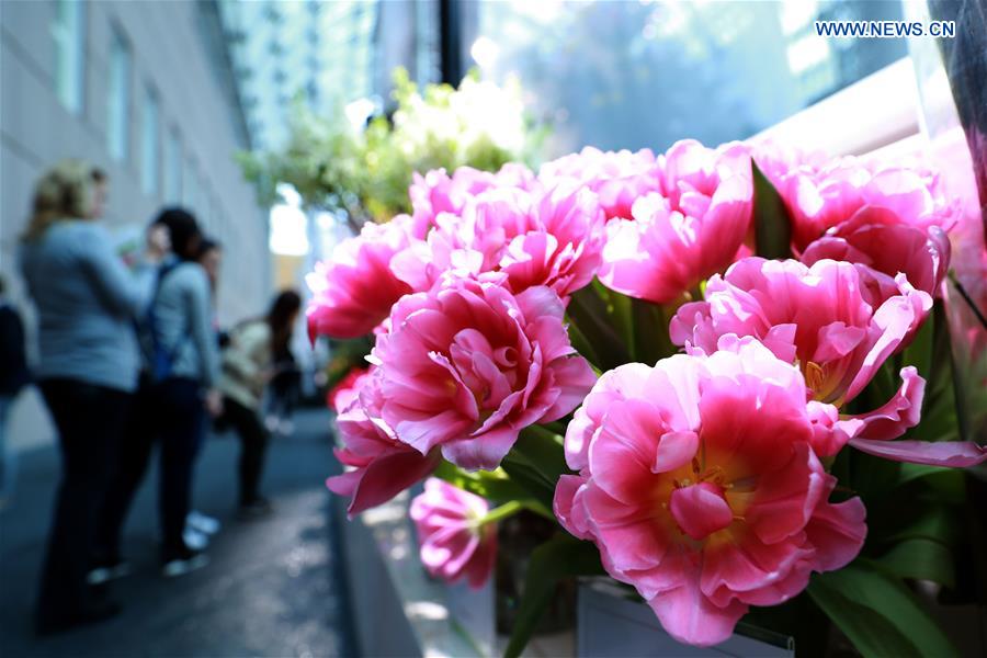 GERMANY-FRANKFURT-EXHIBITION-FLORADECORA