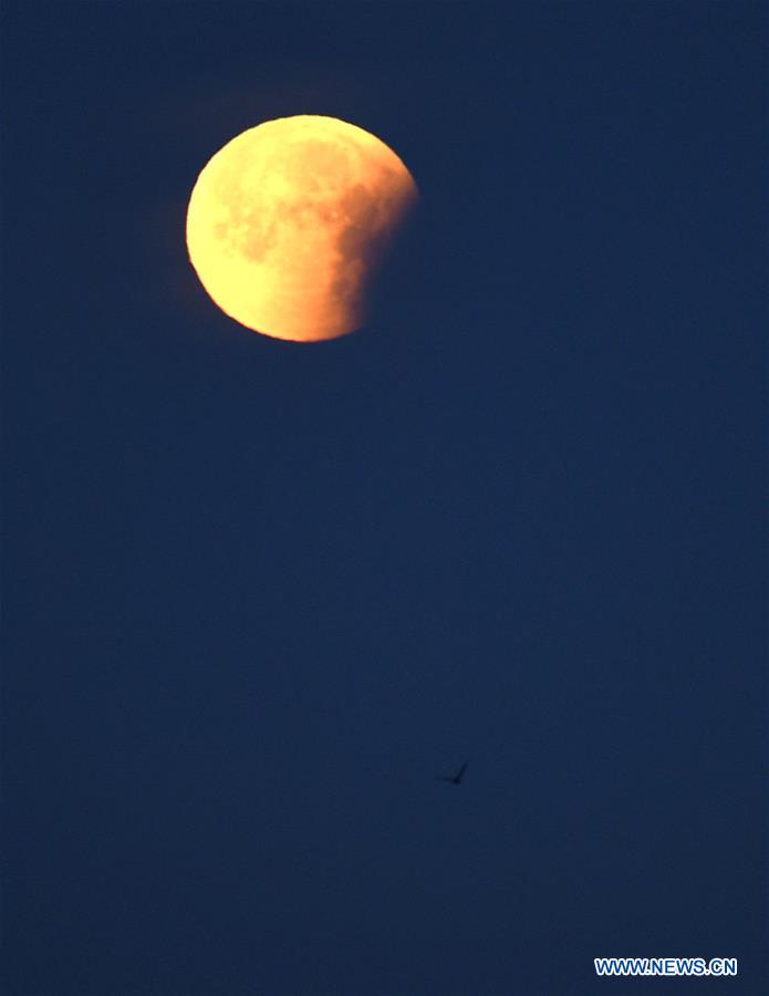 U.S.-SAN FRANCISCO-LUNAR ECLIPSE