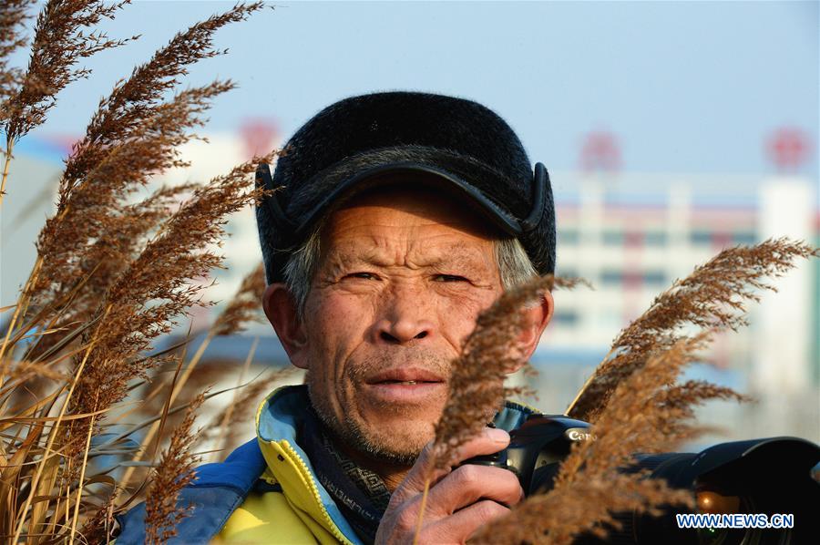 CHINA-SHANDONG-SWAN-PROTECTION (CN)