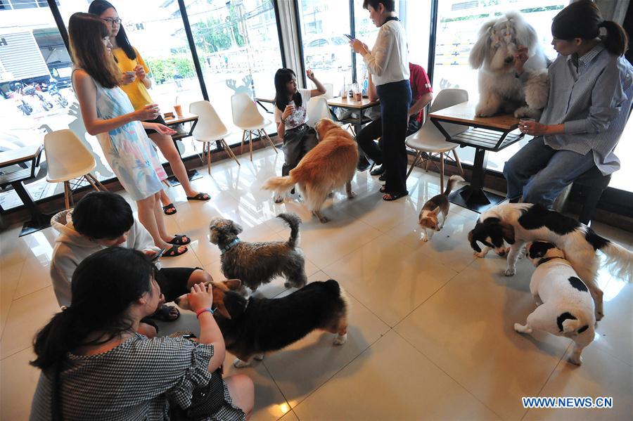 THAILAND-BANGKOK-DOG CAFE