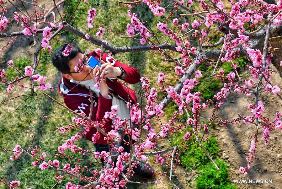 CHINA-BEIJING-FLOWERS (CN)