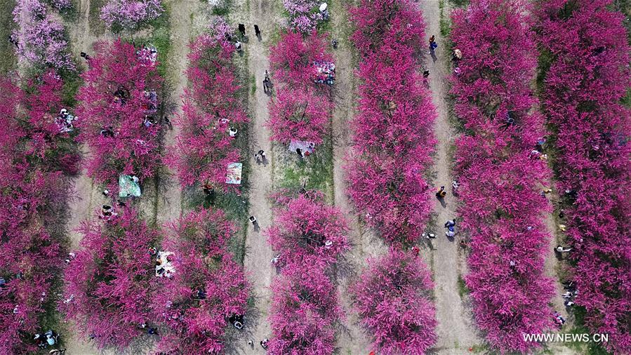 CHINA-HEFEI-DAILY LIFE (CN)