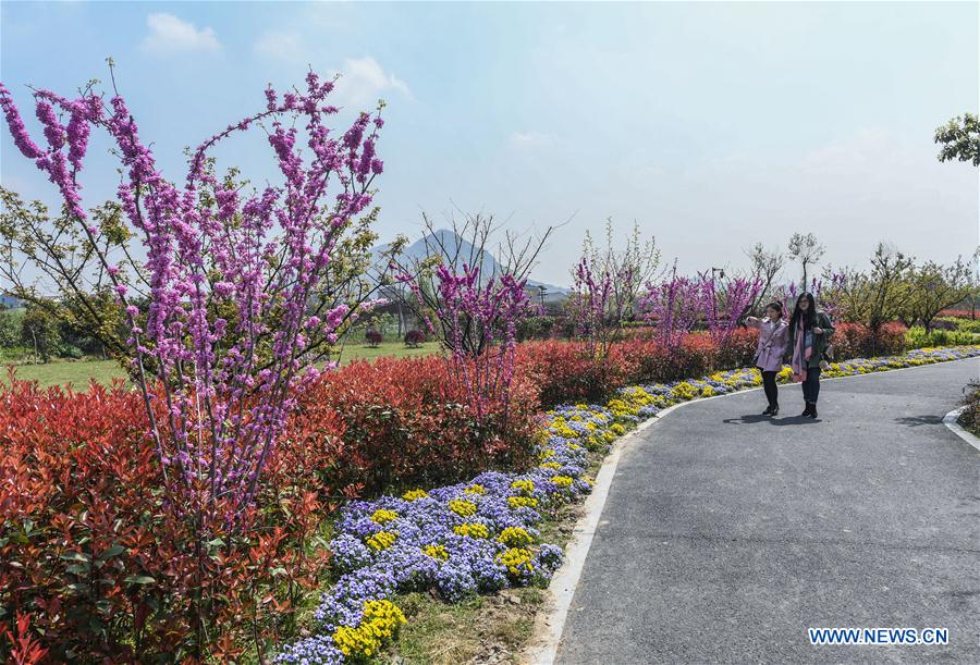 CHINA-ZHEJIANG-RURAL AREA-INFRASTRUCTURE-CONSTRUCTION (CN)