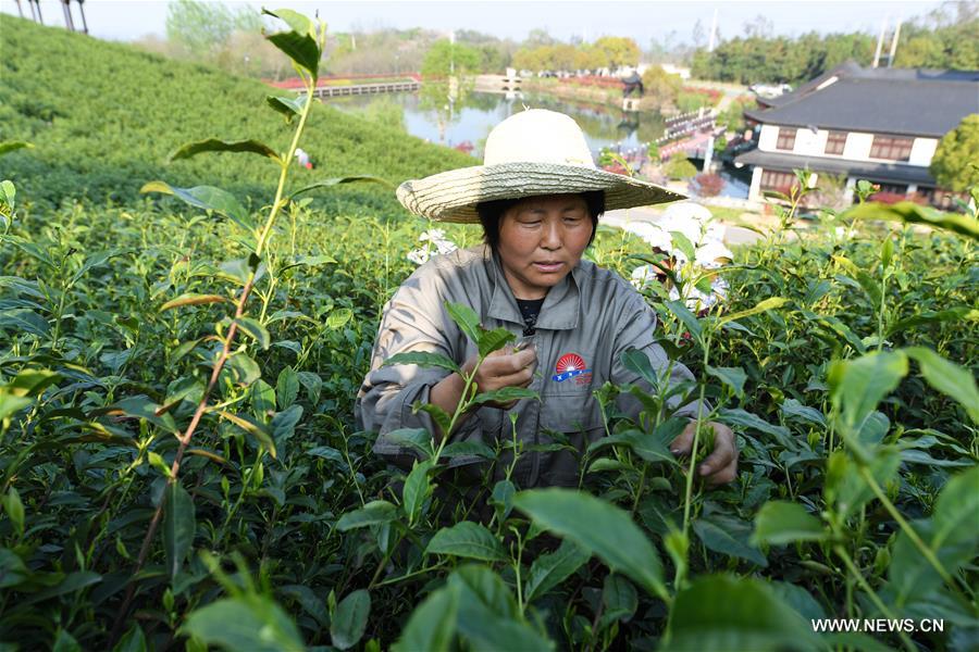 CHINA-WUXI-SPRING VIEWS (CN)