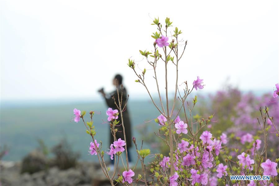 CHINA-INNER MONGOLIA-ARXAN-SCENERY (CN) 