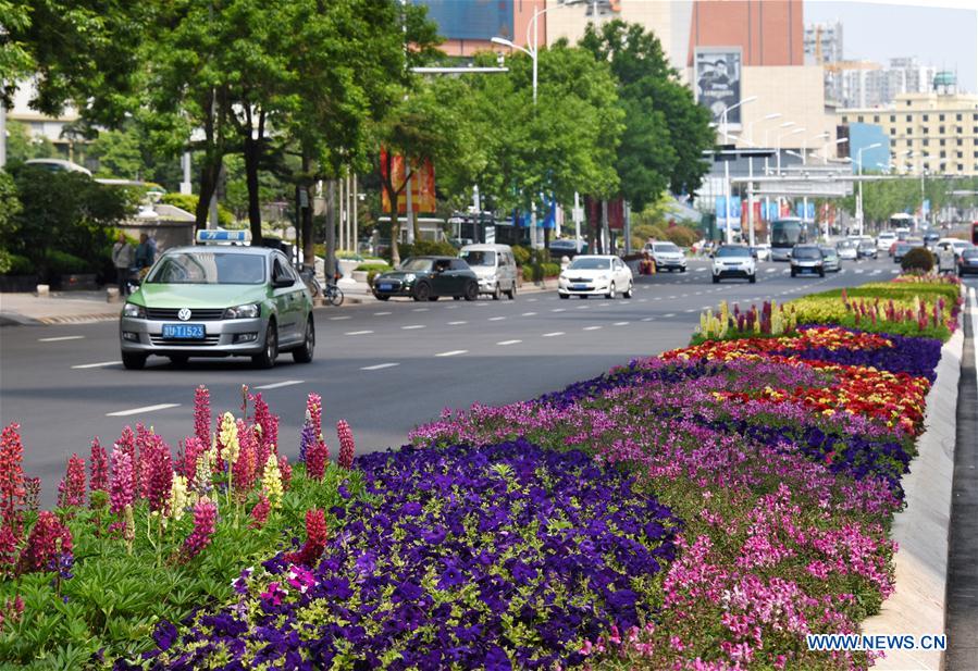 CHINA-QINGDAO-SCO SUMMIT-HOST CITY-DECORATION (CN)