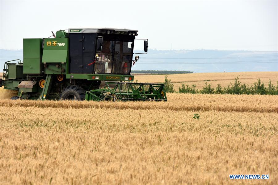 CHINA-XI'AN-WHEAT-HARVEST (CN)