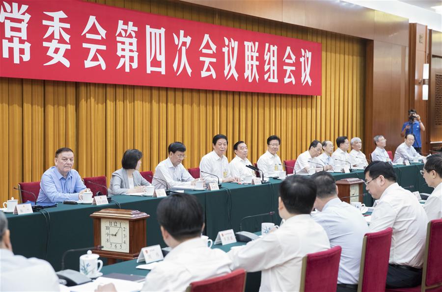 CHINA-BEIJING-NPC STANDING COMMITTEE-JOINT INQUIRY (CN)