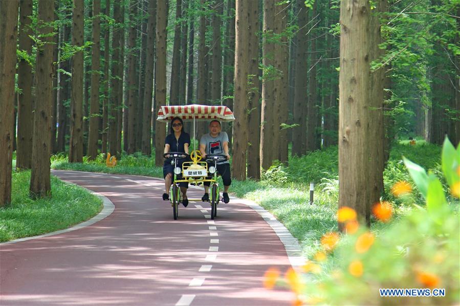 #CHINA-JIANGSU-FOREST PARK-SCENERY (CN)