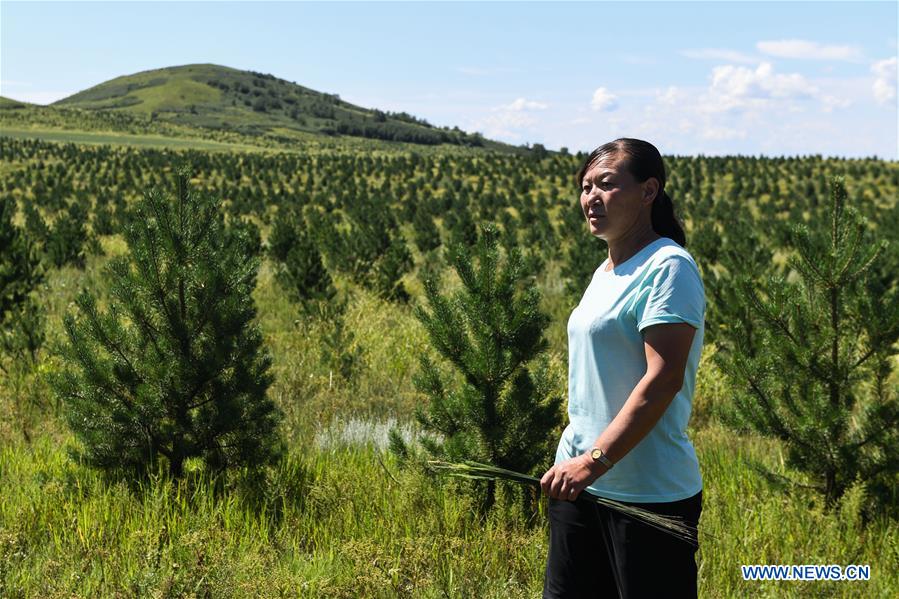 CHINA-INNER MONGOLIA-DUOLUN-ECOLOGICAL PROTECTION (CN)