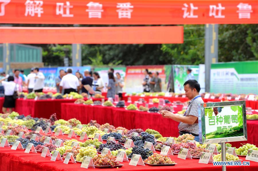 CHINA-XINJIANG-FRUITS (CN)