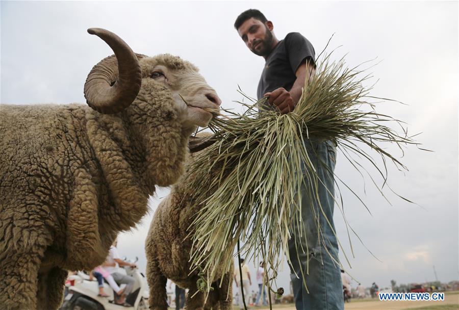 KASHMIR-SRINAGAR-LIVESTOCK MARKET-EID AL-ADHA