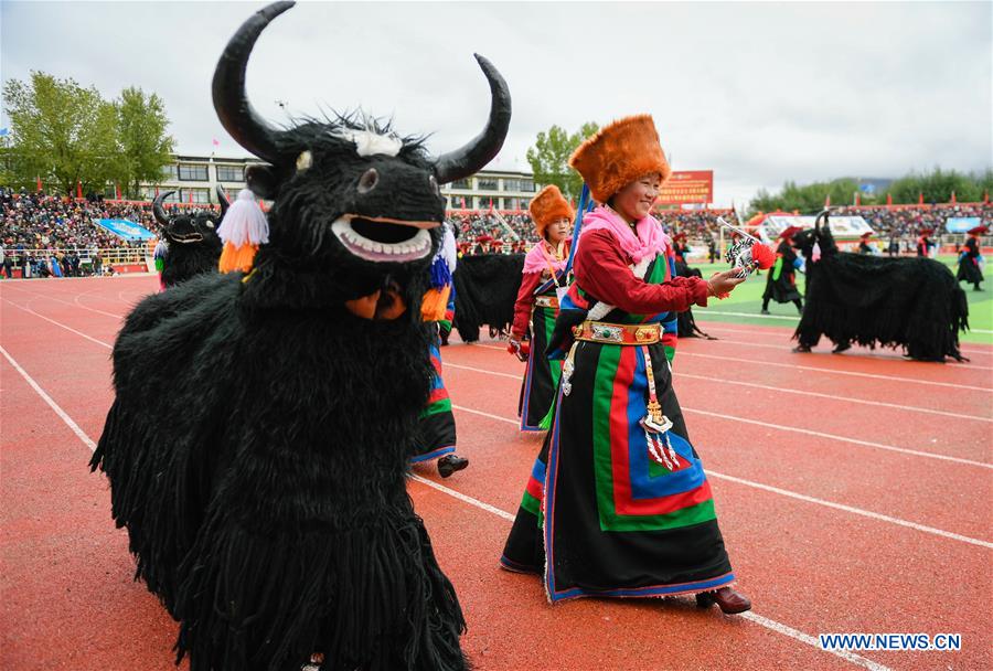 CHINA-TIBET-XIGAZE-TOURISM-FESTIVAL (CN)