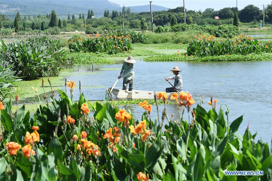 CHINA-ZHEJIANG-AQUACULTURE-WATER PURIFYING (CN)