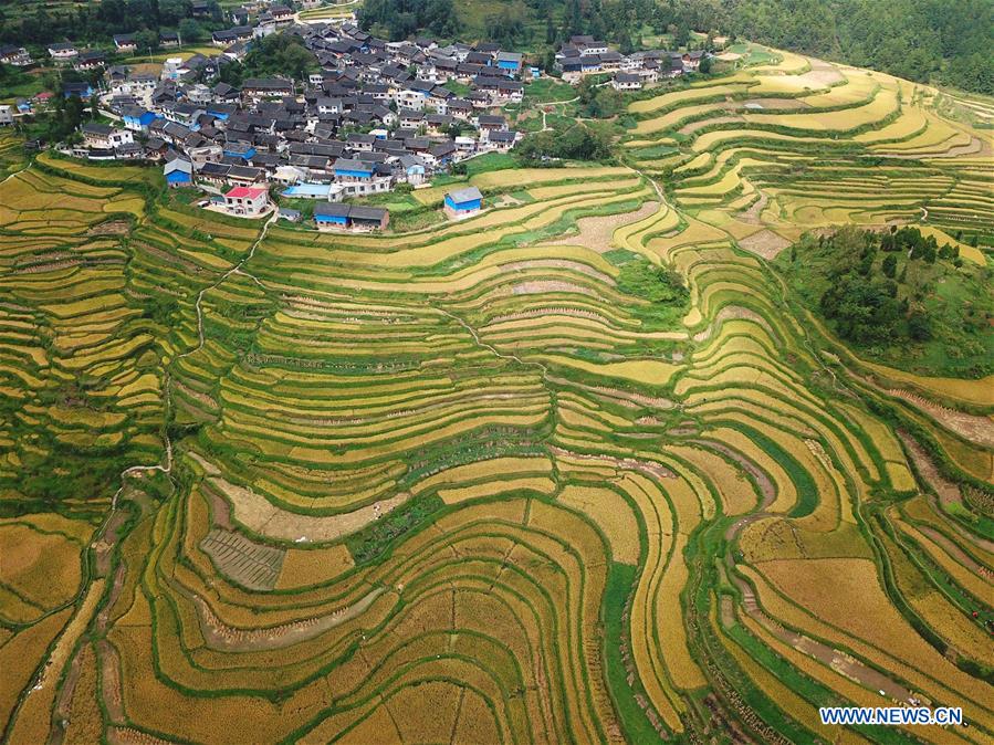 #CHINA-GUIZHOU-DANZHAI-TERRACED FIELDS (CN)