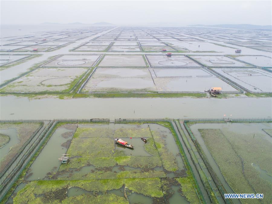 CHINA-ZHEJIANG-HUZHOU-TAIHU LAKE-CRAB (CN)