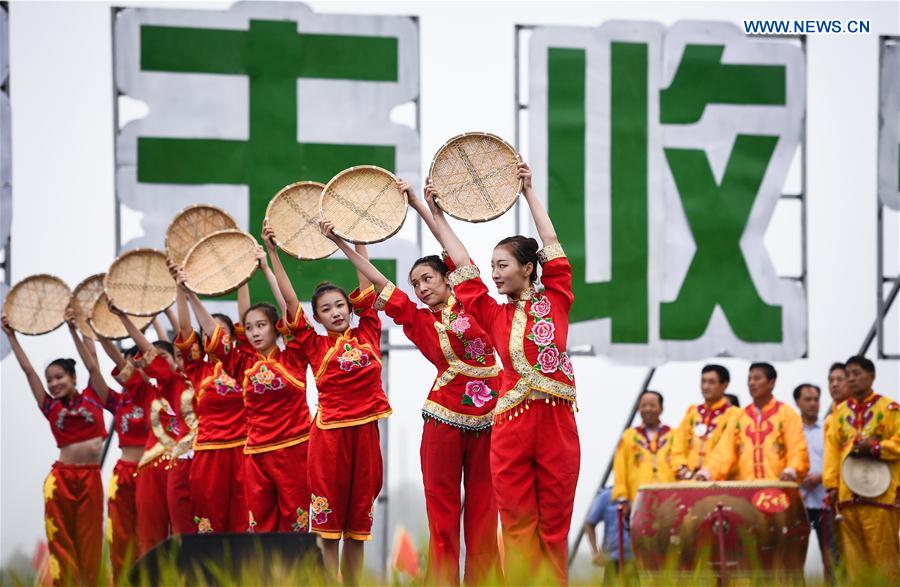 CHINA-JIANGSU-XUYI-RICE-HARVEST (CN)