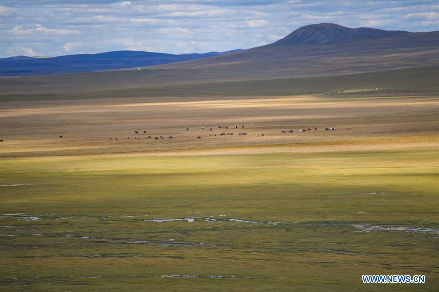 CHINA-INNER MONGOLIA-ULGAI GRASSLAND-SCENERY(CN)