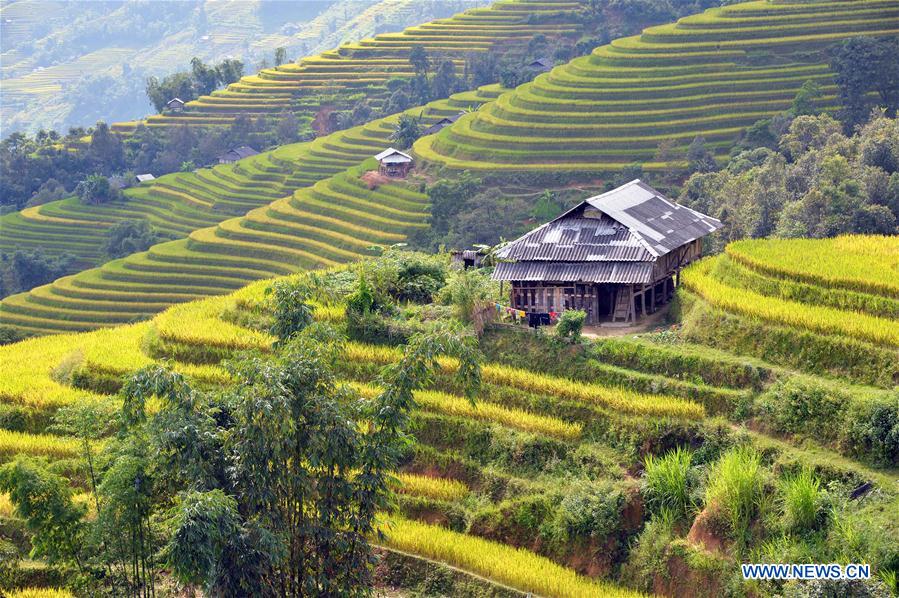 VIETNAM-HA GIANG-TERRACE-SCENERY