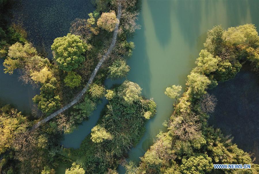 CHINA-HANGZHOU-XIXI WETLAND-AUTUMN SCENERY (CN)