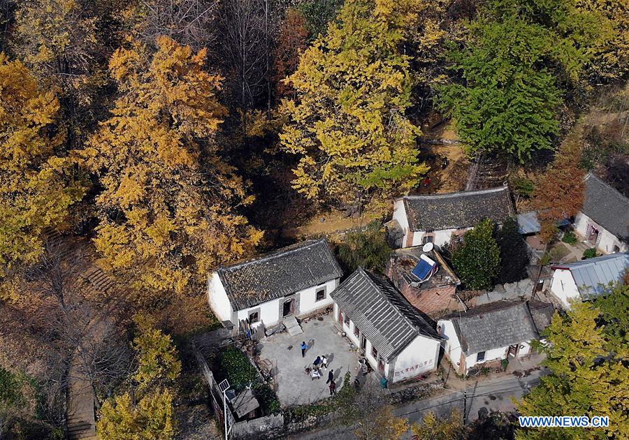 CHINA-HENAN-VILLAGE-AUTUMN SCENERY (CN)