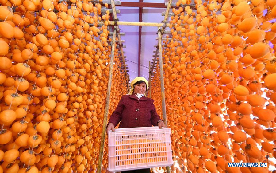 #CHINA-SHANDONG-ZIBO-PERSIMMON (CN)