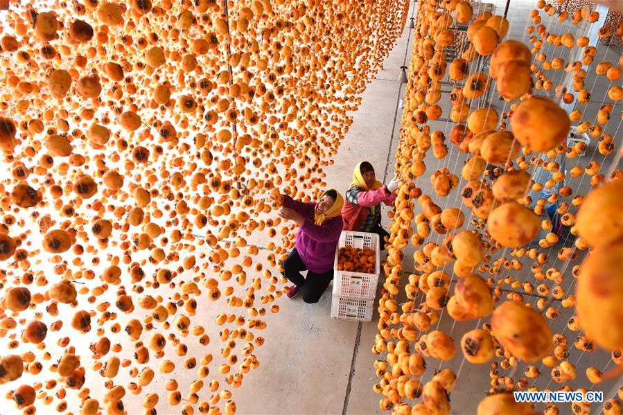 #CHINA-SHANDONG-LINYI-PERSIMMON (CN) 