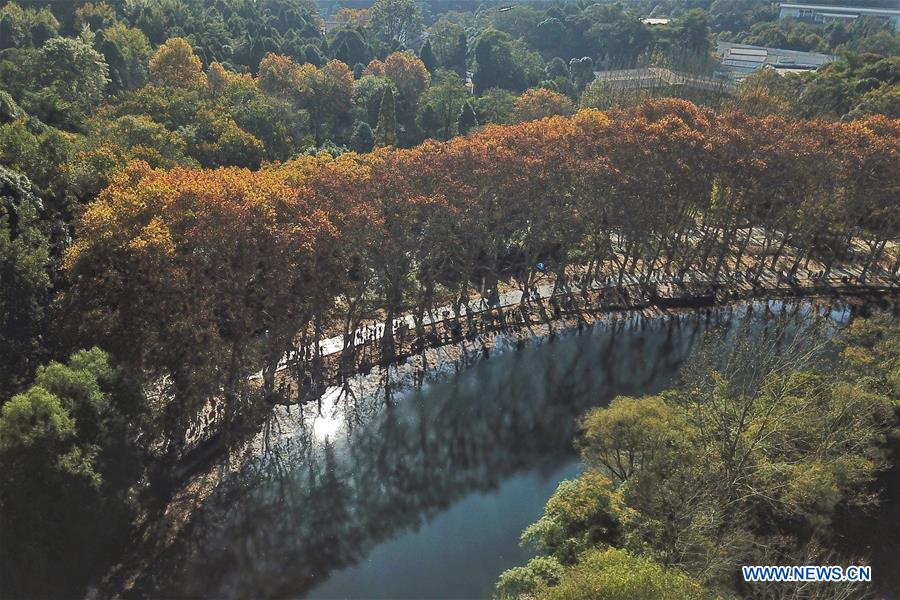 CHINA-GUIZHOU-GUIYANG-WETLAND PARK-AUTUMN SCENERY (CN)