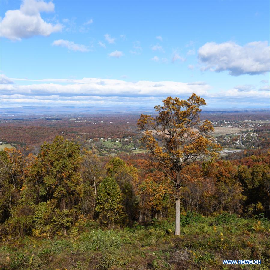 U.S.-VIRGINIA-SHENANDOAH NATIONAL PARK-AUTUMN VIEWS