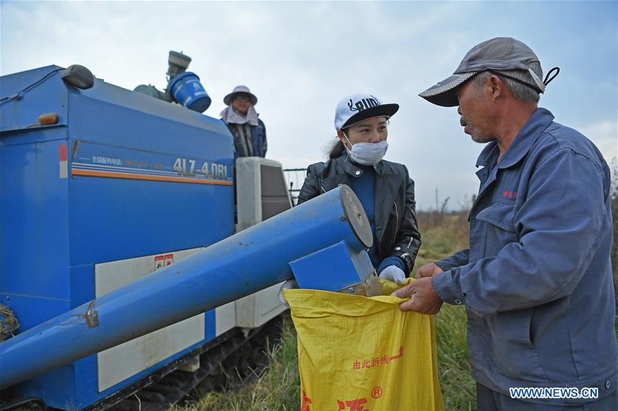 CHINA-JIANGXI-NANCHANG-CHARACTER STORY IN AGRICULTURE (CN)