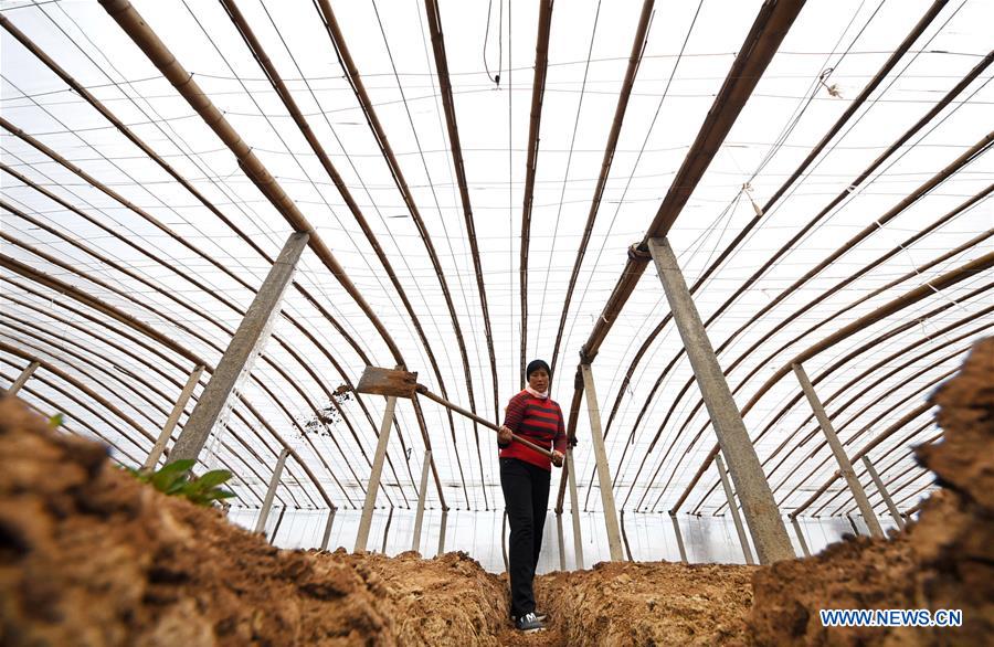 #CHINA-WINTER-FARM WORK (CN)