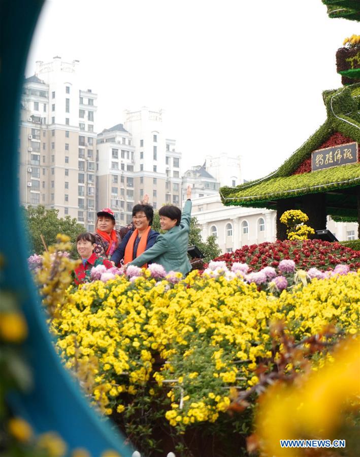 CHINA-JIANGXI-NANCHANG-CHRYSANTHEMUM SHOW (CN)