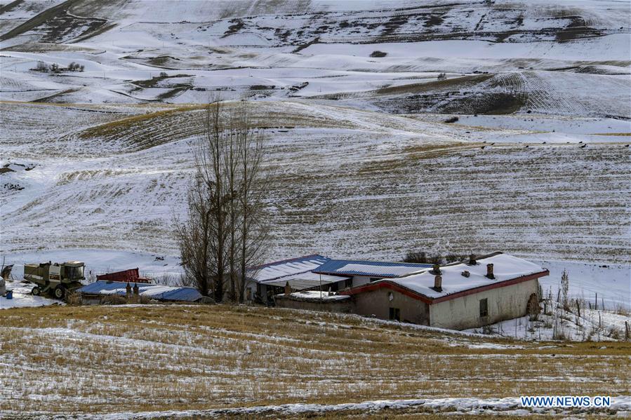 CHINA-XINJIANG-SNOWFALL (CN)