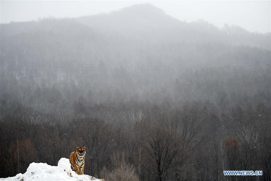 XINHUA PHOTO WEEKLY CHOICE