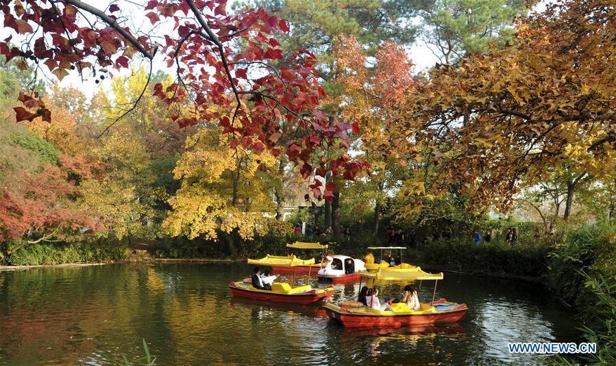 #CHINA-EARLY WINTER-SCENERY (CN)