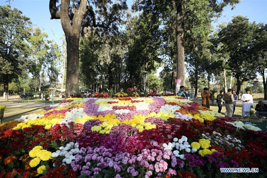 PAKISTAN-ISLAMABAD-AUTUMN FLOWER SHOW