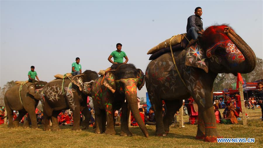 NEPAL-CHITWAN-ELEPHANT FESTIVAL-BEAUTY CONTEST