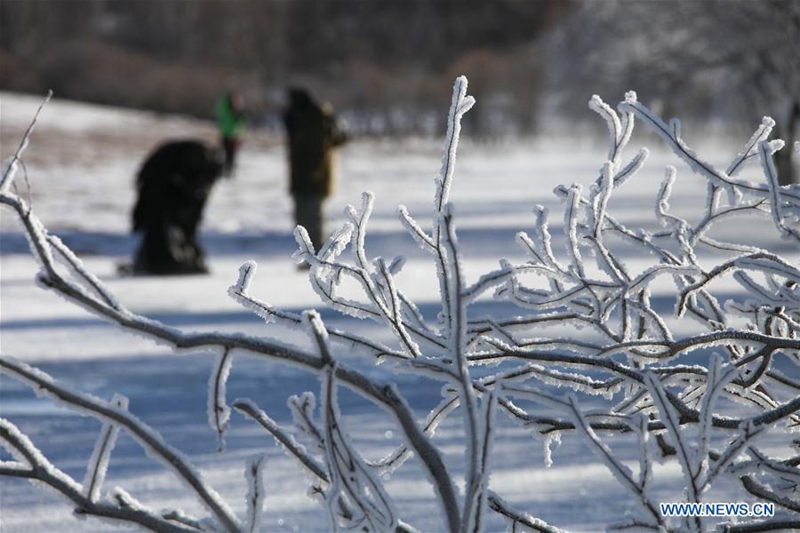 #CHINA-INNER MONGOLIA-FROST (CN)