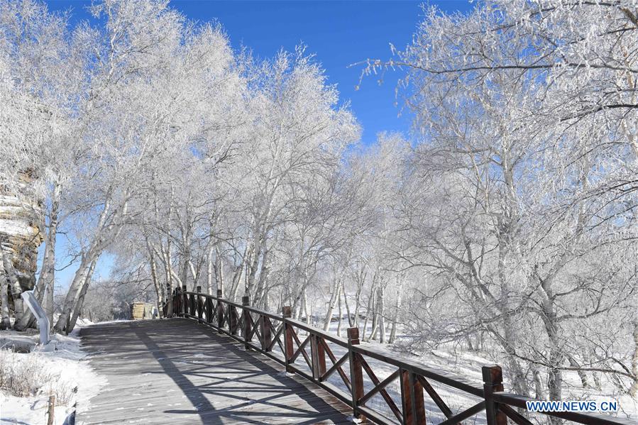 CHINA-INNER MONGOLIA-SNOW SCENERY (CN)