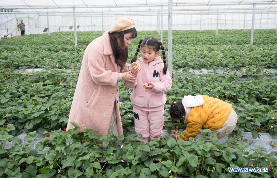 CHINA-ZHEJIANG-JIANDE-AGRICULTURE