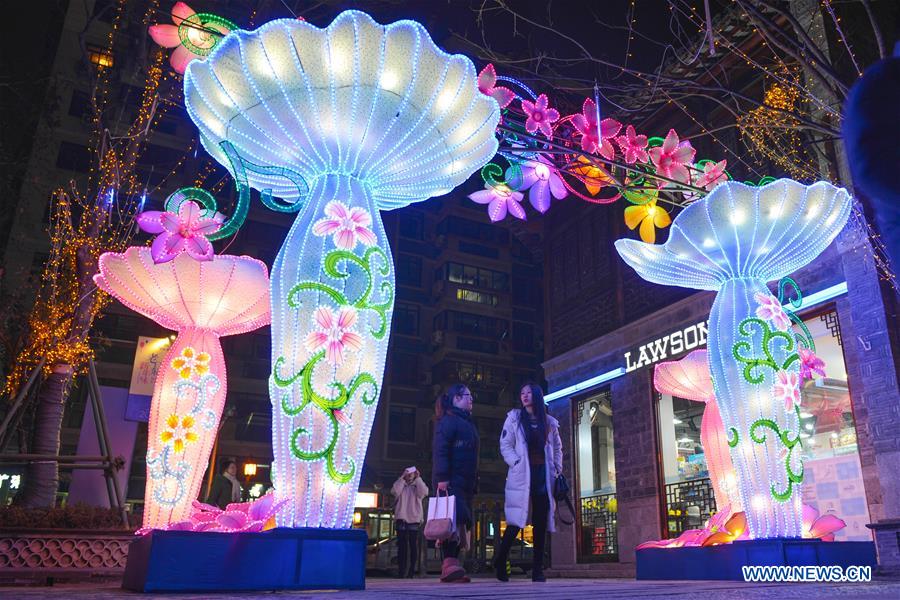 #CHINA-NANJING-COLOURED LANTERNS(CN)