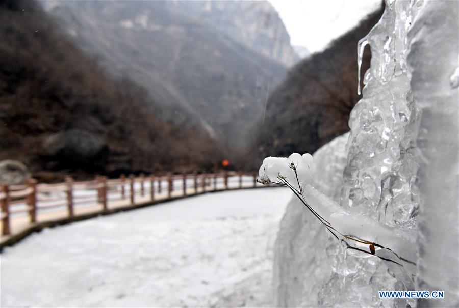 CHINA-HENAN-JIAOZUO-ICEFALL (CN)