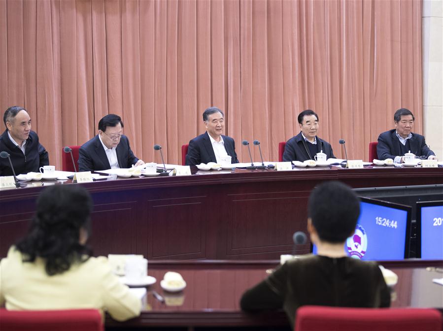 CHINA-BEIJING-WANG YANG-BI-WEEKLY CONSULTATION SESSION (CN)