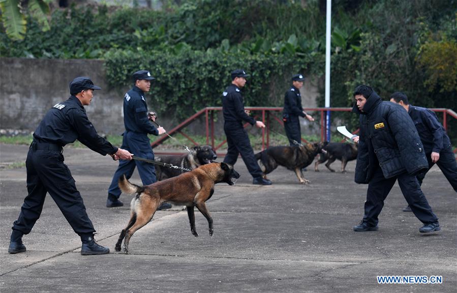 CHINA-GUANGXI-POLICE DOG-TRAINING (CN)