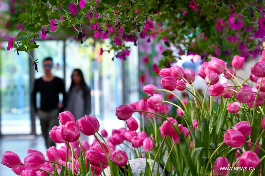 CHINA-GUANGDONG-EXHIBITION-TULIPS (CN)