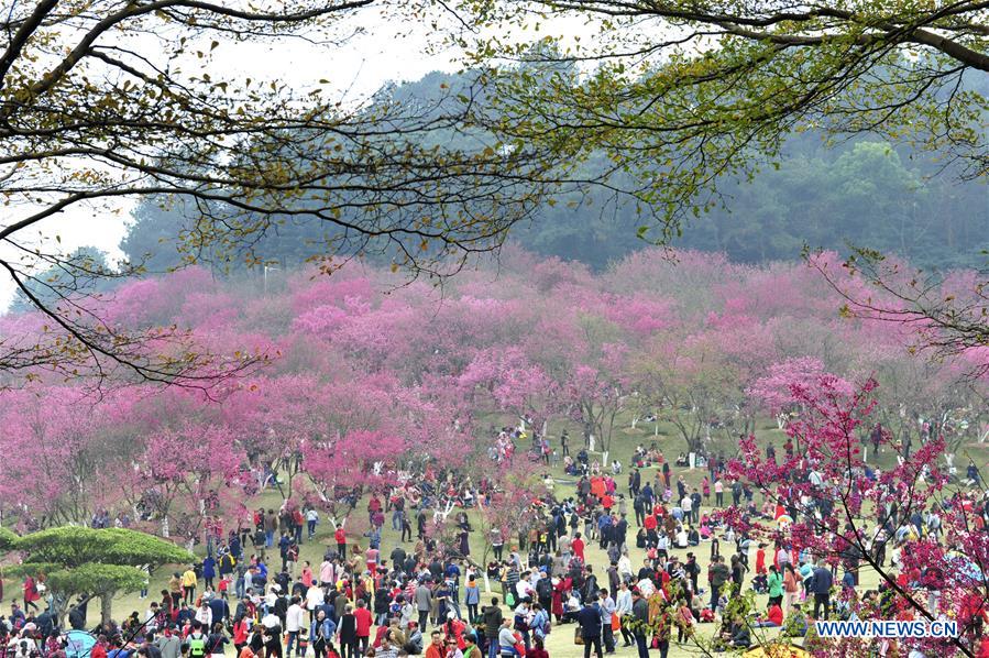 #CHINA-SPRING FESTIVAL-LANDSCAPE (CN)