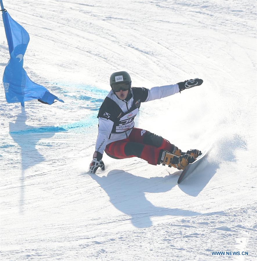 (SP)CHINA-HEBEI-ZHANGJIAKOU-FIS SNOWBOARD-PARALLEL GIANT SLALOM(CN)