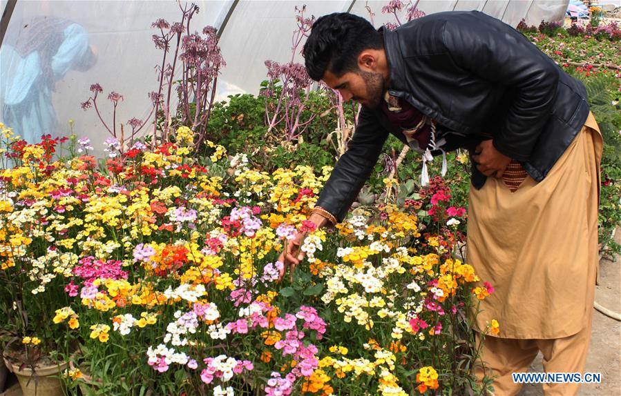 AFGHANISTAN-KANDAHAR-FLOWER SHOP